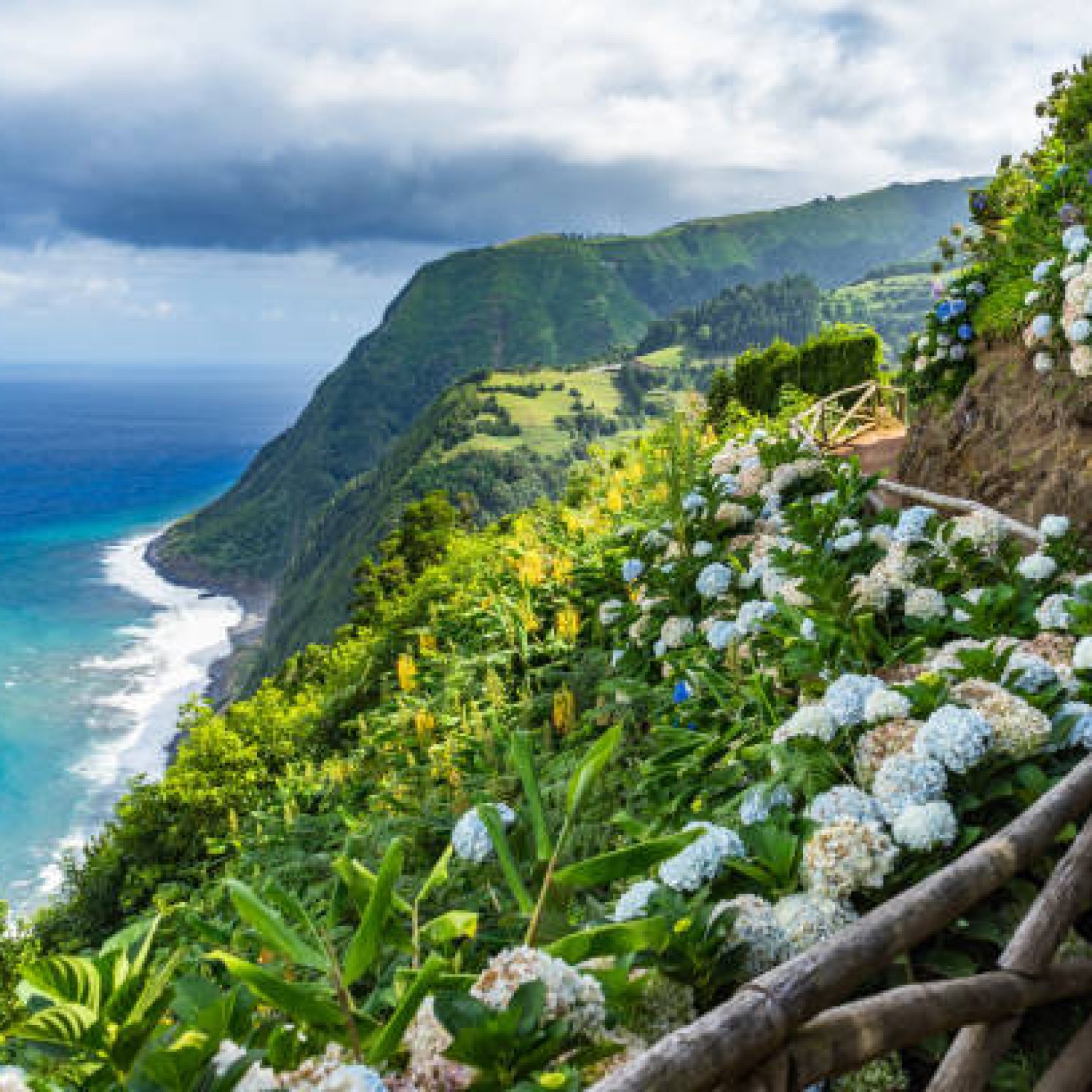 Costal path with Hydrangeas, Sao Miguel, Azores, Portugal